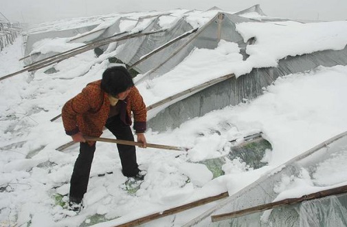 大雪壓垮鋼結(jié)構(gòu)廠房，眾多“二師兄”壯烈犧牲